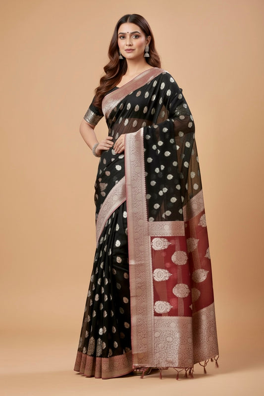 Brown Banarasi Chiffon Silk Saree with Red Border & Pallu