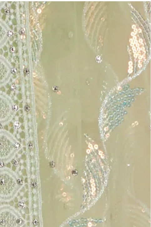 Mint Green Embellished Net Saree With Lace Border
