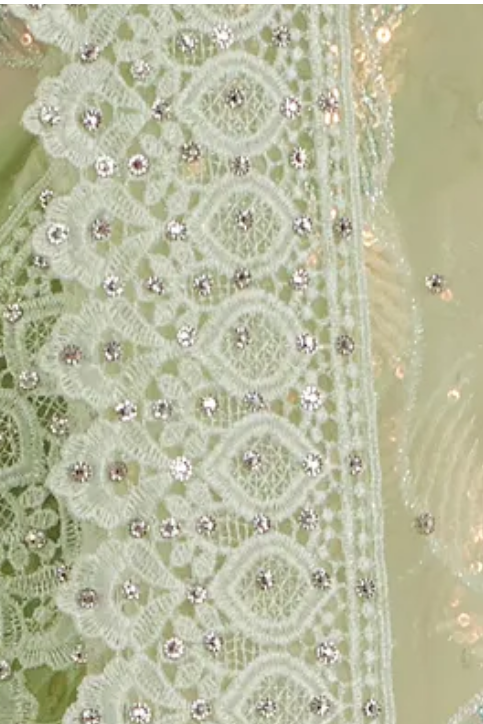 Mint Green Embellished Net Saree With Lace Border