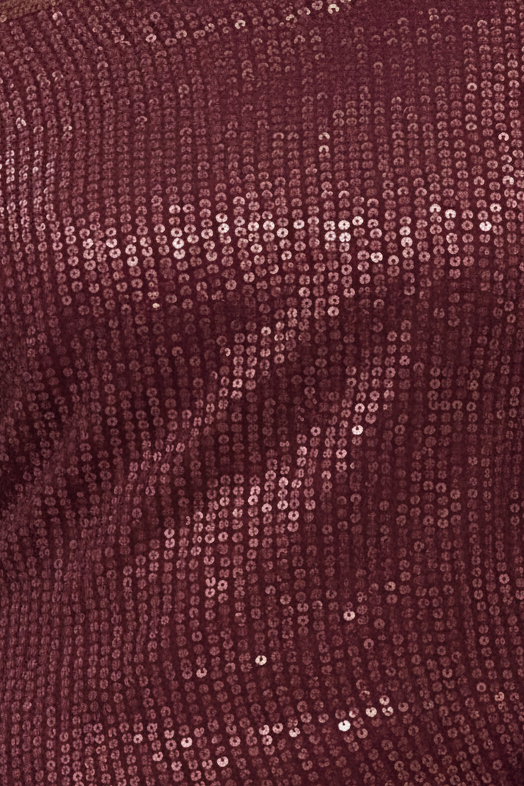 Maroon Hand Embroidered Sequin Georgette Saree