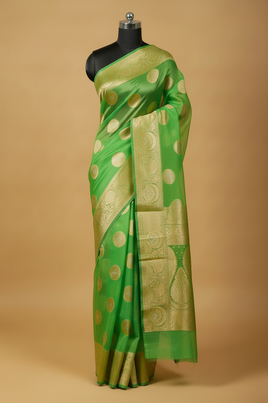 Apple Green Banarasi Organza Saree - Full Mannequin